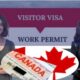 Visitor Visa to Work Visitor